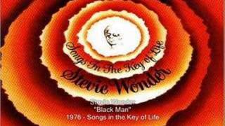 Stevie Wonder  Black Man [upl. by Eicats]