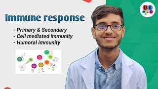 Cell mediated immunity  Humoral immunity  Immune response  Microbiology bangla lecture [upl. by Seravaj]