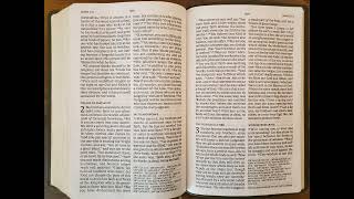 NASB Book of James Chapter 3 [upl. by Davida252]