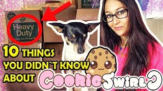 Cookie Swirl C 🍪 10Things You Didnt Know About The SHOPKINS Queen👑 [upl. by Ahtanaram]