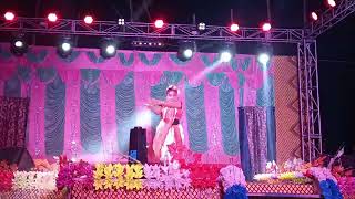 dolara dolara dola Raj dance gurop 8250444958 [upl. by Nomihs216]