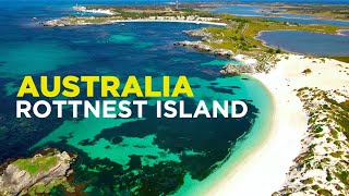 ROTTNEST ISLAND is the QUOKKA worlds CUTEST animal Day trip from Perth [upl. by Elleuqram]