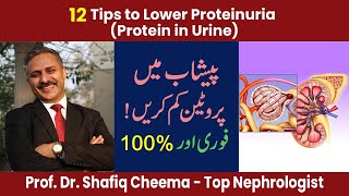 12 Tips to Lower proteinuria  100 Urine protein reduction [upl. by Ayeki585]