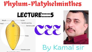 Phylum Platyhelmintheslecture —5 by Kamal sir Cee Nepal students [upl. by Tri825]