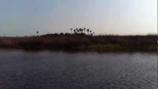 Fishing Spring Warrior Creek Florida [upl. by Imoyik]