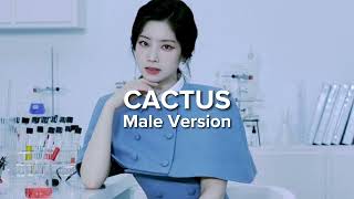 TWICE  CACTUS Male Version [upl. by Wagshul765]