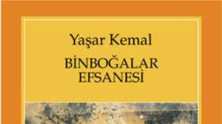 Yaşar kemal🌺Binboğalar efsanesi🌺 PART 9 roman seslikitap yaşarkemal чтение [upl. by Pam]