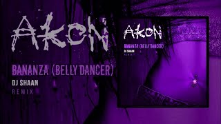 Akon  Bananza Belly Dancer Remix feat Kardinal Offishall Official Lyrics Video [upl. by Airogerg]