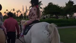 Kira  Horseback Riding  GoPro 12  Max Lens Mod [upl. by Stanfill]