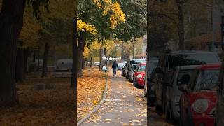 Autumn in Regensburg 🍁 [upl. by Marcile]