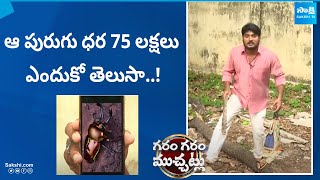 Stag Beetle Price in India  Stag Beetle Telugu Facts  Garam Garam Varthalu SakshiTV [upl. by Jesse]