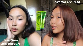 DIY TIPID HAIR COLOR NO BLEACH BREMOD [upl. by Py371]