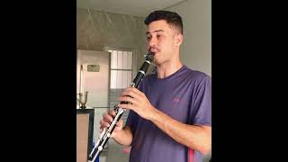 Cover clarinete  Lamentos Pixinguinha [upl. by Acirtal967]