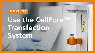 How To Use the CellPore™ Transfection System [upl. by Adnovaj]