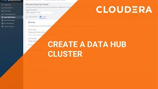 Data Hub  How to Make a Cluster [upl. by Luhar]