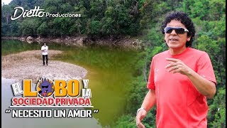 Necesito un amor  LA SOCIEDAD PRIVADA  VÍDEO OFICIAL 2017 [upl. by Noryv535]