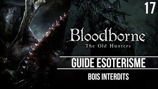 Bloodborne  Guide ésotérisme  Bois Interdits  17 [upl. by Ykcaj]