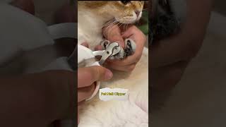 Pet Nail Clipper Link is on bio cat petkit petsuppliesplus [upl. by Germain]