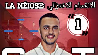 الانقسام الاختزالي 1  1 la méiose [upl. by Asilram182]