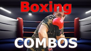 Boxing Combos  Basic and Comprehensive [upl. by Chryste272]