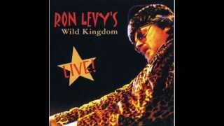 Ron Levy Sons of Abraham Live [upl. by Etiam]