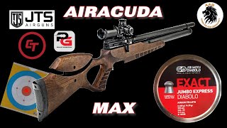 JTS Airacuda Max 55mm Budget Friendly Entry Level PCP Airgun shooting JSB 14 35gn Pellets 55 yards [upl. by Sayers]