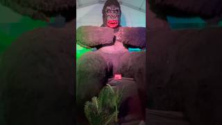 Biggest Chimpanzee and Dinosaur Together 🦍😮🦖😧 chimpanzee dinosaur jungle shorts scary fun [upl. by Tripp]