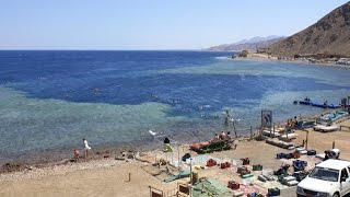 Blue Hole  Dahab  Synaj  Egipt  Egypt  Coral Reef [upl. by Tiebout585]