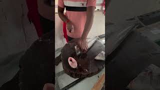 2kg Surmai Cutting fishcuting fish surmai kingfish [upl. by Reed847]