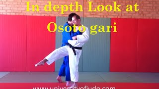 In depth osoto gari in depth by Judo Olympian [upl. by Harrus304]