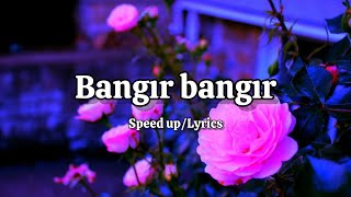 Gülşen  Bangır Bangır Speed upLyrics [upl. by Hennessey]