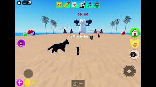 Kitten game Roblox game [upl. by Errecart]