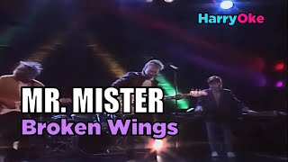 Mr Mister  Broken Wings Karaoke with Lyrics [upl. by Hayyim]