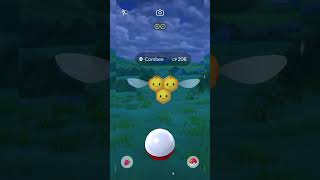 Catching a wild Combee search for Zarude pokemon go pokemon pokemongo combee [upl. by Mack]