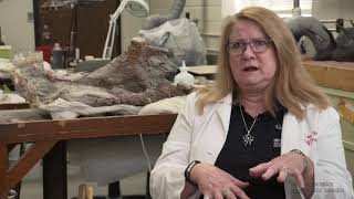 Carrie Herbel Preparing the Past  Paleo Sleuths  Nebraska Public Media [upl. by Mya]