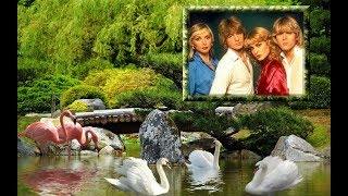 The Land of Make Believe  Bucks Fizz ♥☼♫☼♥ [upl. by Fredenburg]