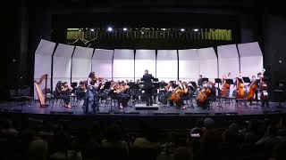 Romanze for Viola and Orchestra Milton HS Chamber Orchestra [upl. by Northway]