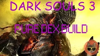 Dark Souls 3 PURE DEX BUILD Washing Pole [upl. by Furlong]