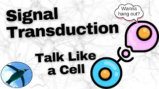 Basic Signal Transduction Ligands and Receptors [upl. by Moriarty]