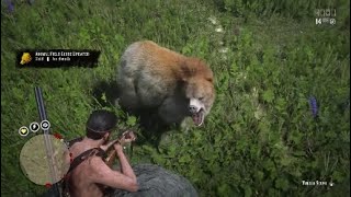 Ridgeback Spirit Bear Location Legendary Animals Red Dead Online [upl. by Esiralc]