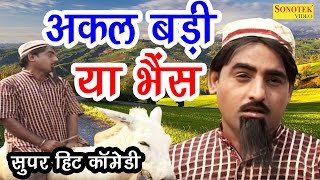 शेख चिल्ली की सुपर हिट कॉमेडी  अकल बड़ी या भैंस  Akal Badi Ya Bhens  New Comedy Darama [upl. by Liahus]