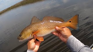 Kayak Fishing Hogtown Bayou  Redfish Specks and Spanish Mackerel [upl. by Ahsiemaj885]