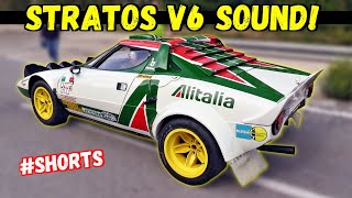 Lancia Stratos HF Gr4 Rally Alitalia  Ferrari V6 Sound Shorts [upl. by Airdnahc]