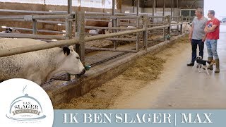 Ik ben SLAGER  MAX  Deel 3 [upl. by Eirrak185]