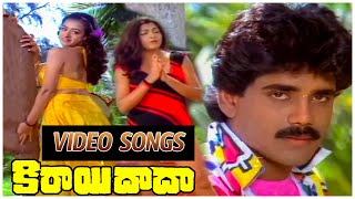 Kirai Dada Video Song  Kirai Dada Movie Song  Akkineni Nagarjuna Movies [upl. by Hoffer]