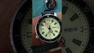 CITIZEN GN4S 8201 R013271 [upl. by Enetsuj970]