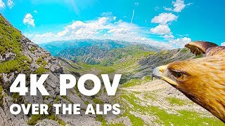 Breathtaking Eagle POV Flying Over The Alps in 4K [upl. by Jermain]