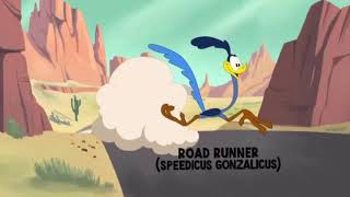 Wile E Coyote And Road Runner In quotClimate Controlquot [upl. by Dlanor598]