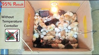 Best and Easy IDEA TO Hatch chicken eggs at home Without Any Temperature controller  Egg Incubator [upl. by Elysia]