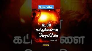 Bible verses Tamil 28 maydailybibleverse godswordtoday bibleshortstamil tamilbible [upl. by Ardnovahs]